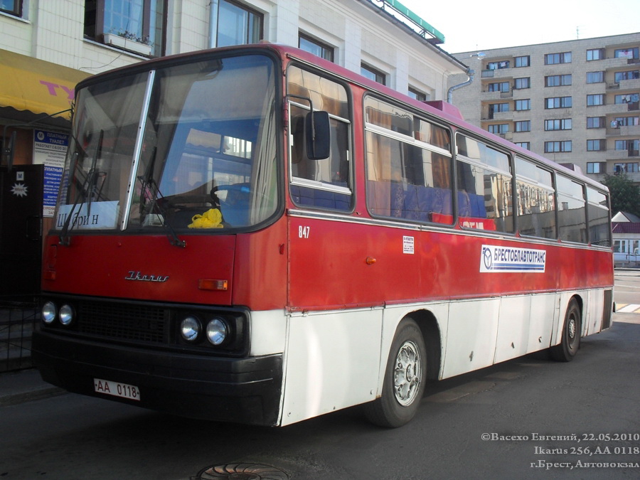 Brest region, Ikarus 256.75 # 847