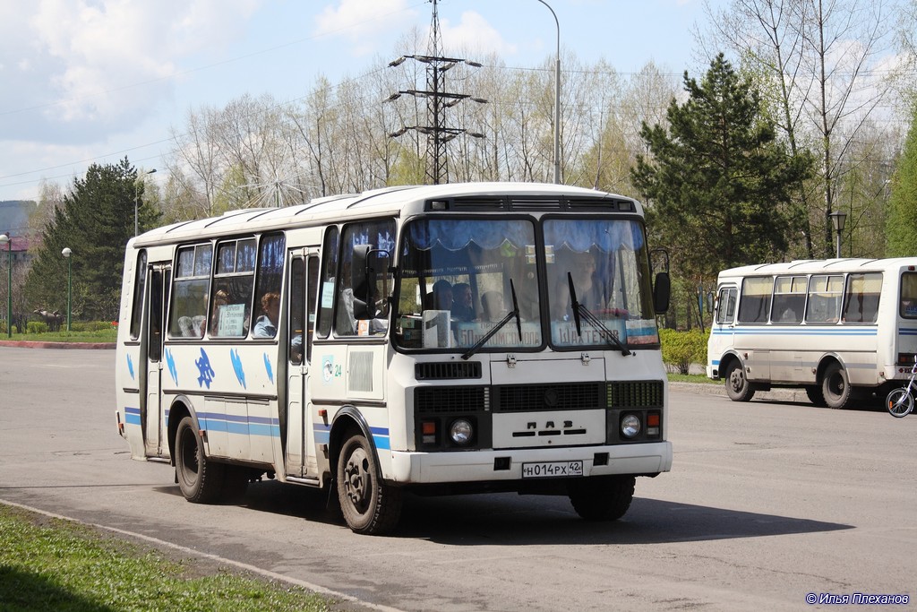 Kemerovo region - Kuzbass, PAZ-4234 № 24