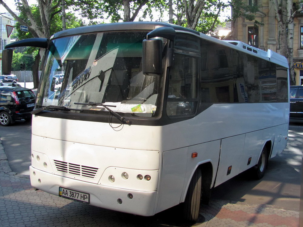 Киев, TEMSA Liberty BG824E № AA 3877 HP