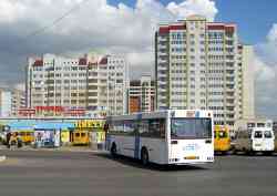 239 КБ