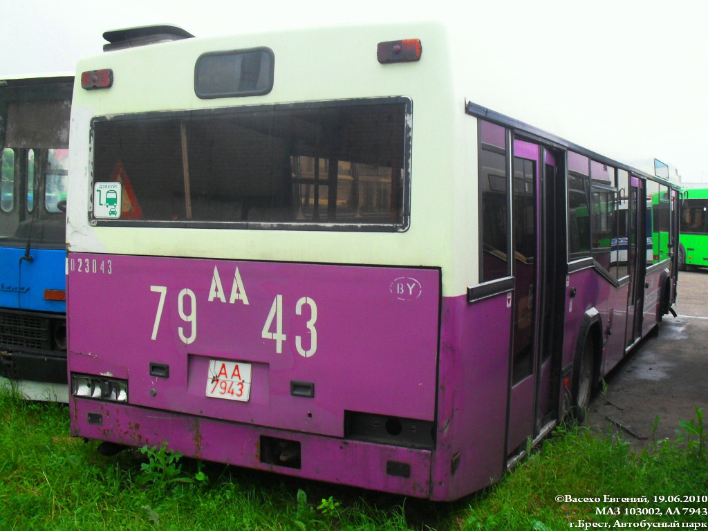 Brest region, MAZ-103.002 Nr. 304 — Nuotrauka — Autobusų transportas