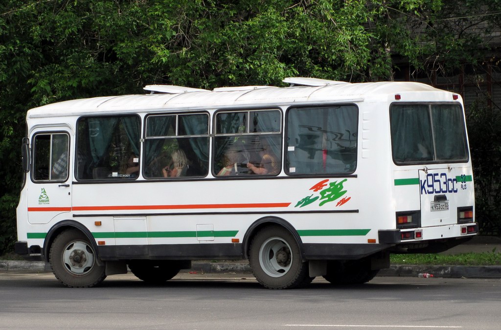 Нижегородская область, ПАЗ-3205-110 № К 953 СС 52