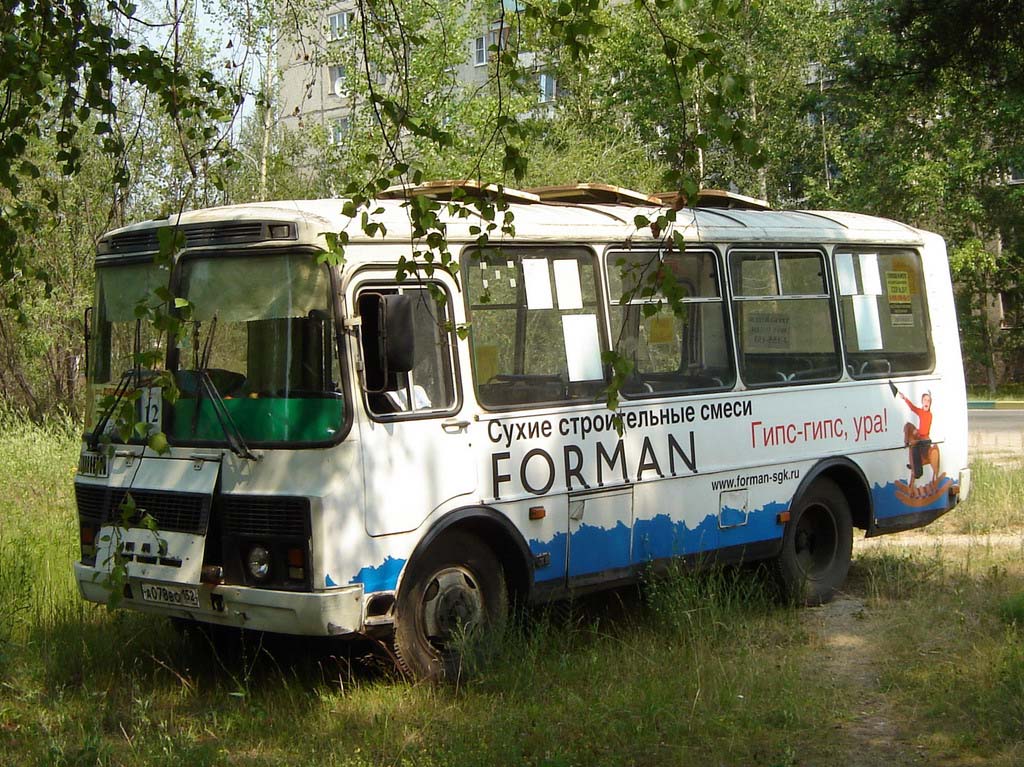 Нижегородская область, ПАЗ-3205-110 № А 078 ВО 152