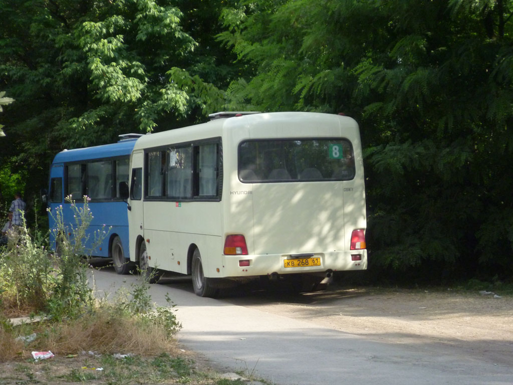 Ростовская область, Hyundai County SWB C08 (РЗГА) № 101