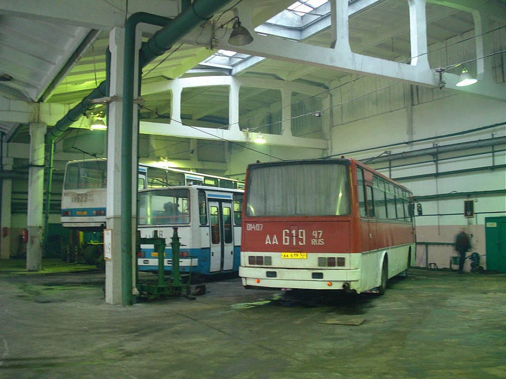 Ленинградская область, Ikarus 256.74 № 01407