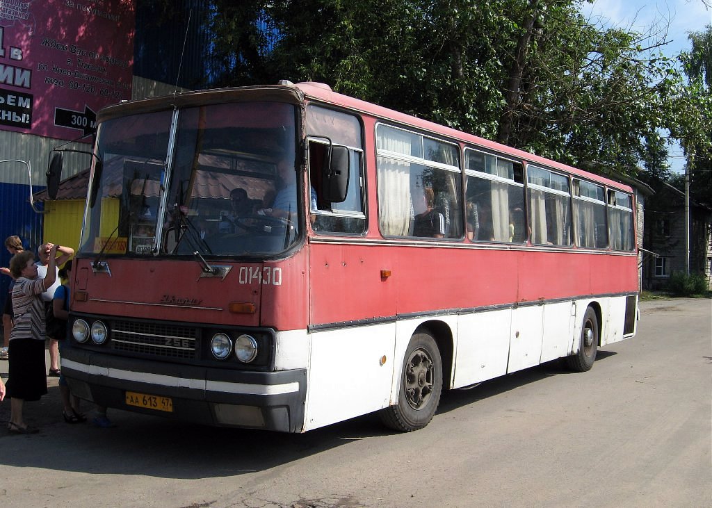 Ленинградская область, Ikarus 256.54 № 01430