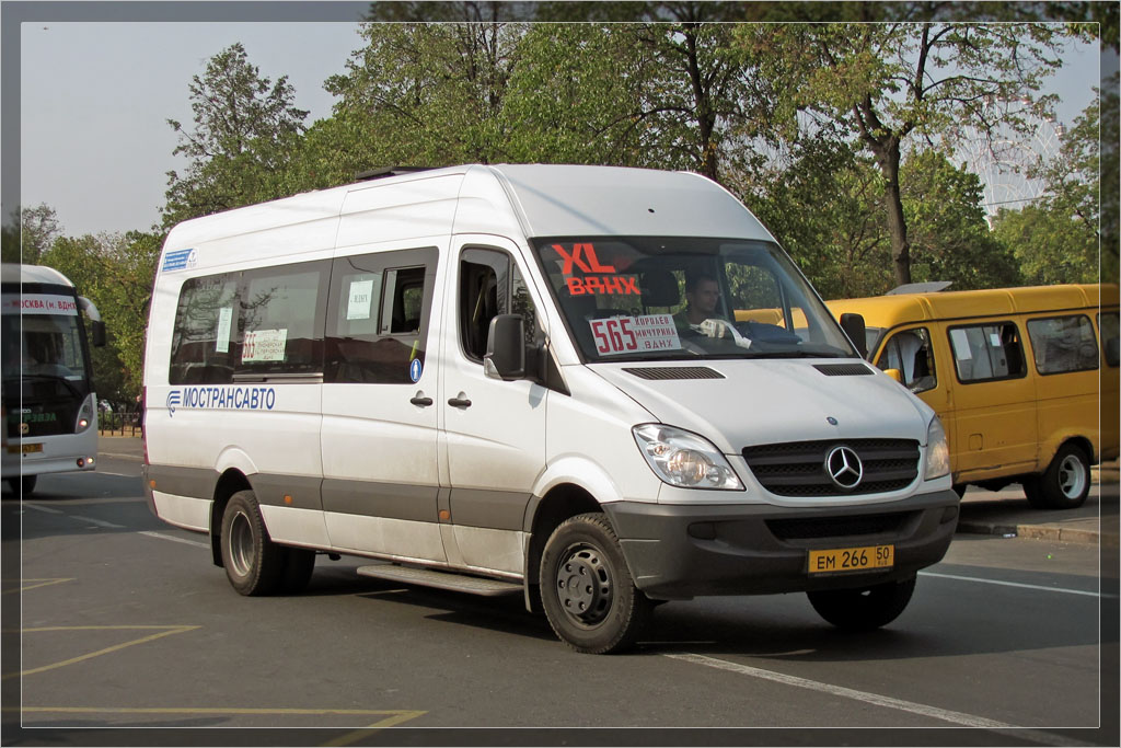 Московская область, Луидор-22340C (MB Sprinter 515CDI) № 1087