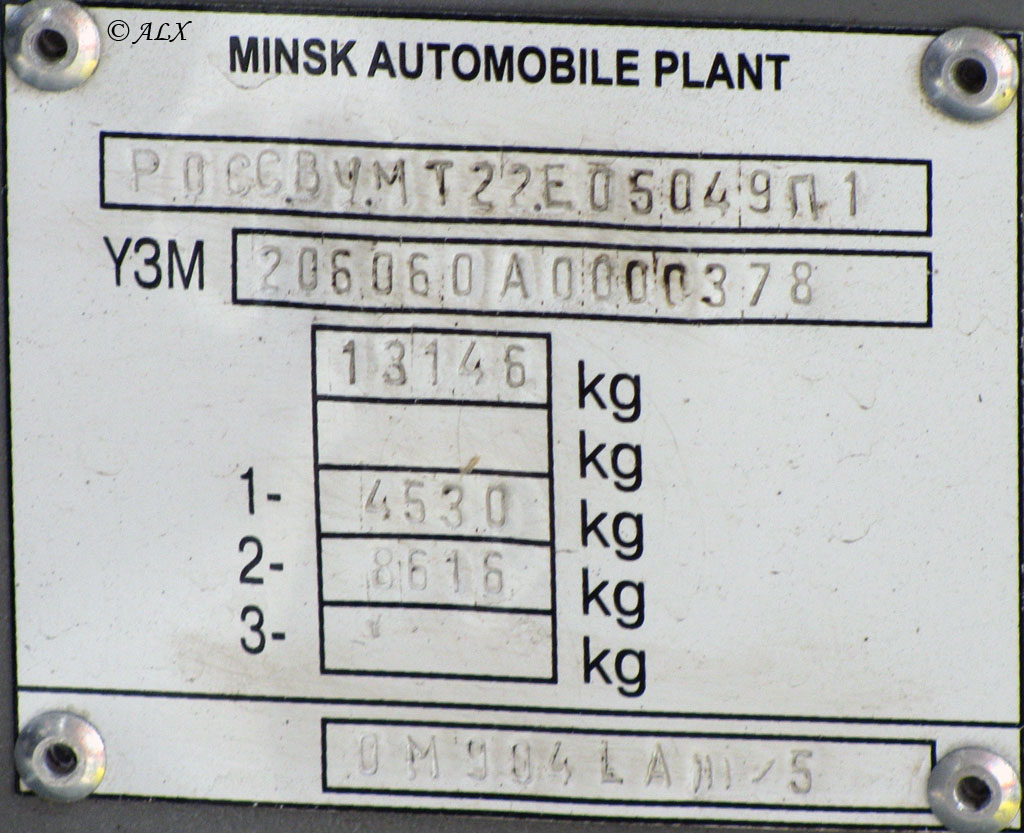 Воронежская область, МАЗ-206.060 № ВВ 299 36