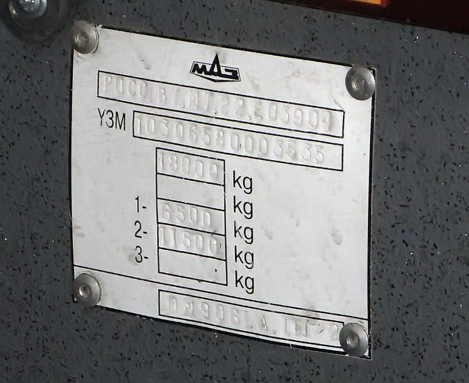 Ростовская область, МАЗ-103.065 № 005216