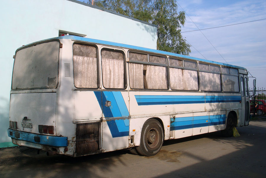 Белгородская область, Ikarus 256.51 № В 596 АО 31