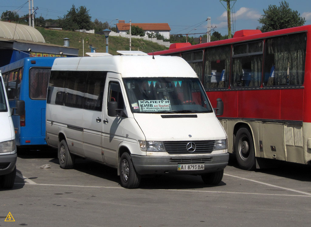 Киевская область, Mercedes-Benz Sprinter W903 312D № AI 8793 BA