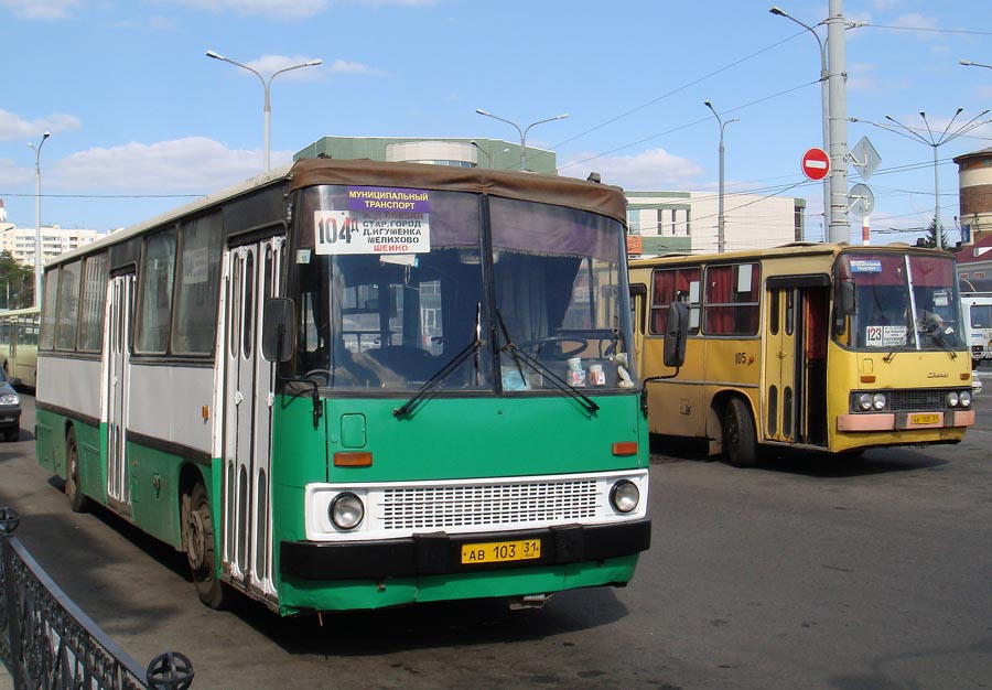 Белгородская область, Ikarus 260.43 № АВ 103 31