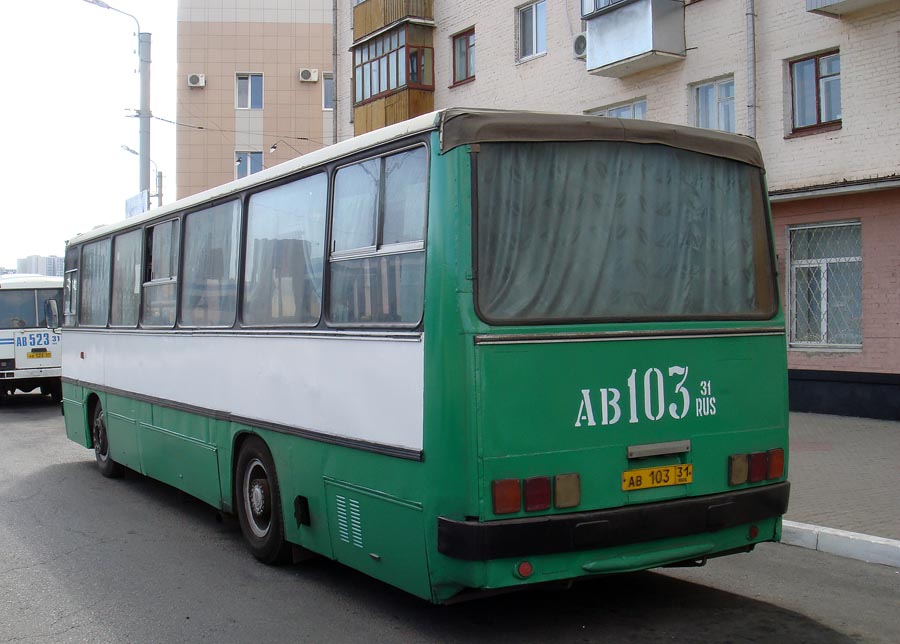 Белгородская область, Ikarus 260.43 № АВ 103 31