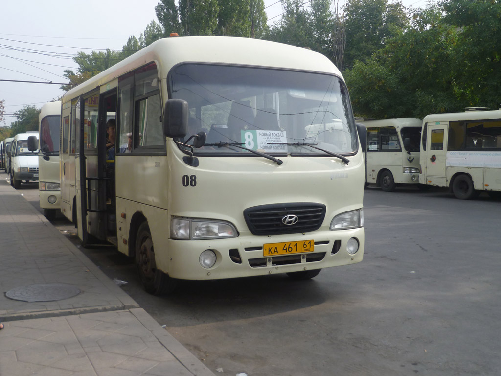 Ростовская область, Hyundai County SWB C08 (РЗГА) № 08