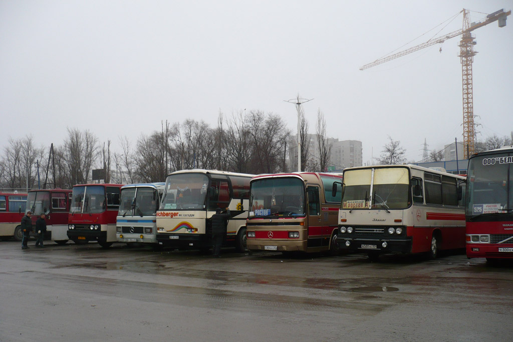 Rostovská oblast — Bus stations