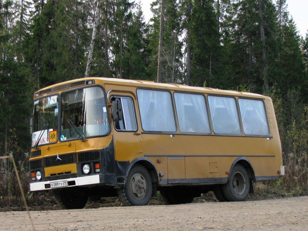 Архангельская область, ПАЗ-32051-110-60 № Е 089 ТУ 29
