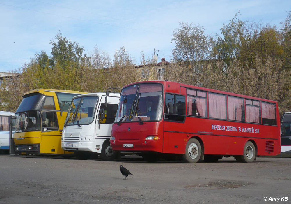 Марий Эл, КАвЗ-4235-31 (2-2) № У 263 АК 12; Марий Эл — Автовокзалы, автостанции и места посадки "с тротуара"