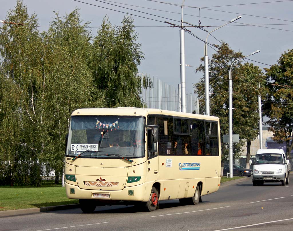 Брестская область, МАЗ-256.170 № 23681