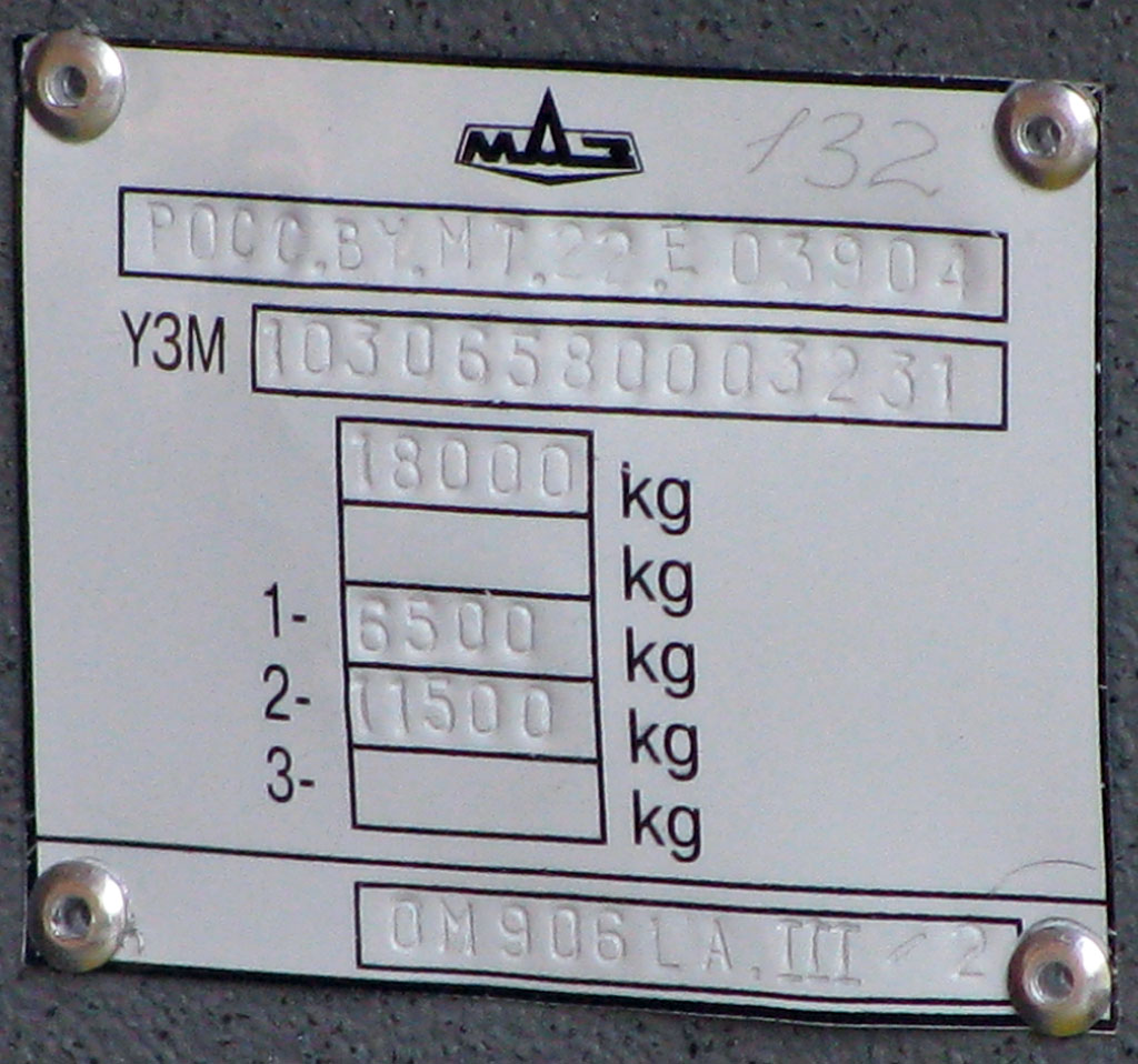 Ростовская область, МАЗ-103.065 № 707