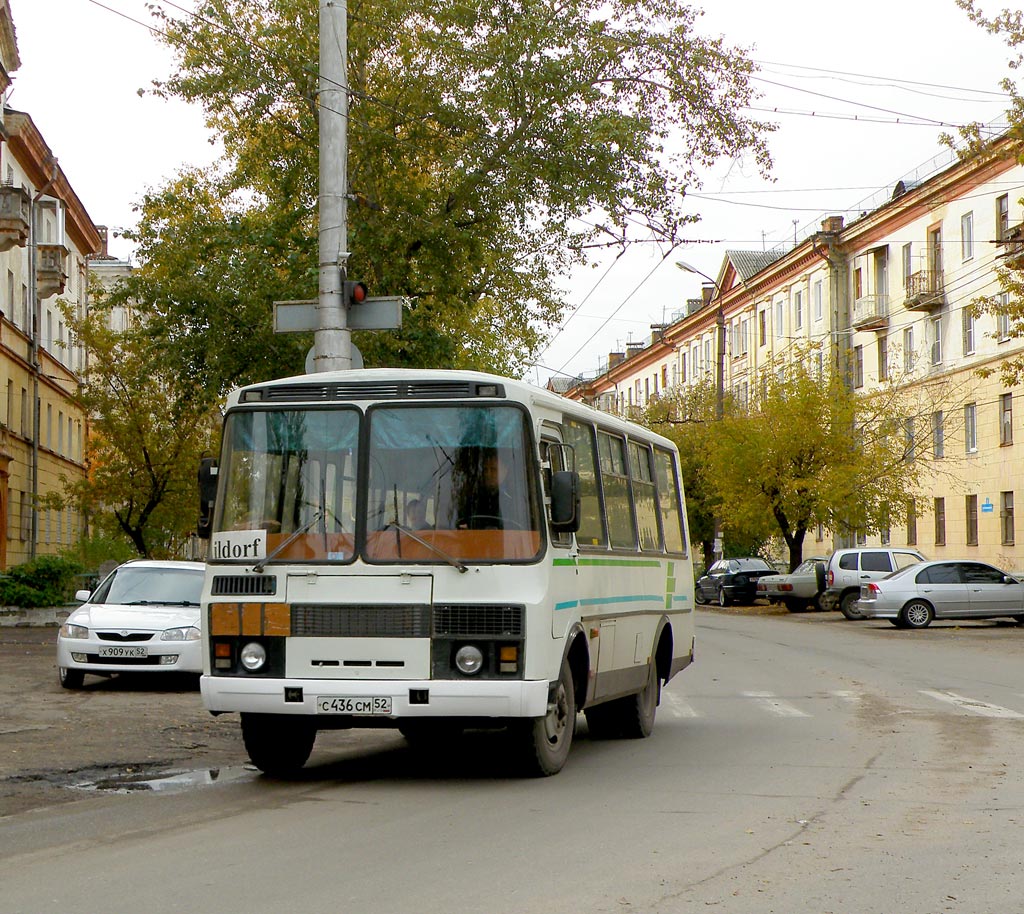 Нижегородская область, ПАЗ-3205-110 № С 436 СМ 52