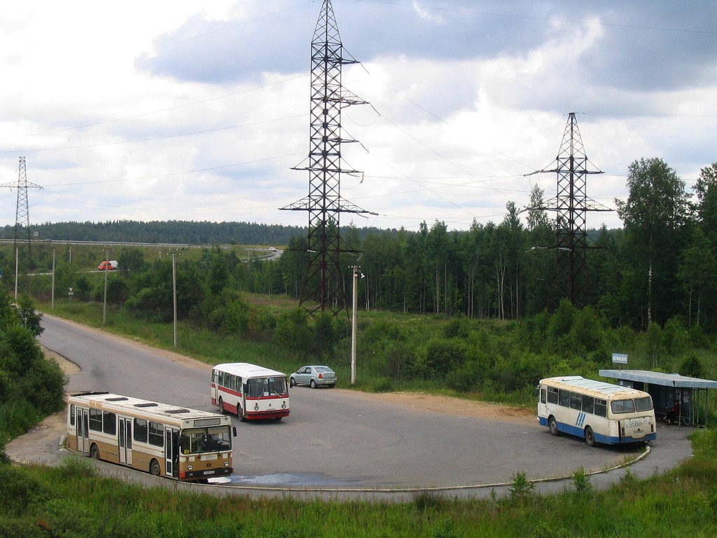 Ленинградская область, ЛАЗ-695Н № К 968 ММ 78; Ленинградская область, ЛАЗ-695Н № Е 348 ЕВ 47; Ленинградская область, ЛиАЗ-5256.00 № У 023 ОА 78; Ленинградская область — Разные фотографии