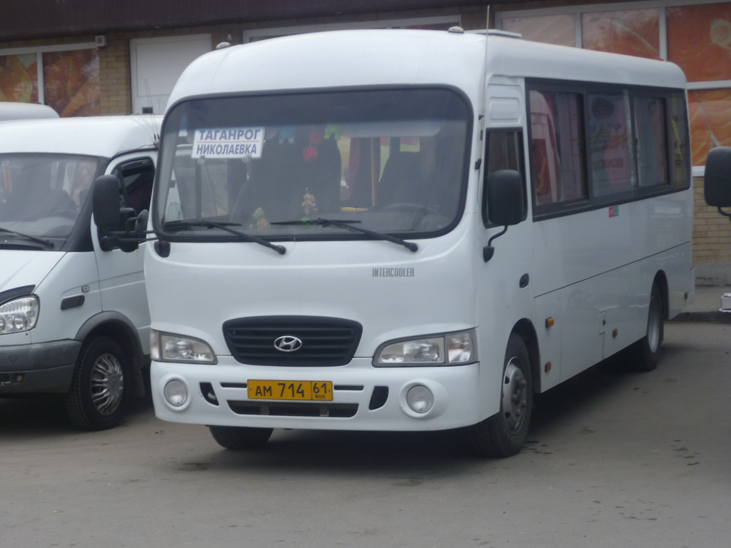 Ростовская область, Hyundai County LWB C11 (ТагАЗ) № АМ 714 61