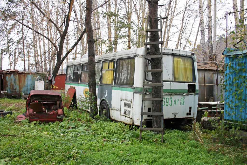 Кемеровская область - Кузбасс, ЛАЗ-4969 № 103