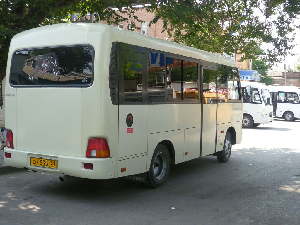 Ростовская область, Hyundai County SWB C08 (ТагАЗ) № 46