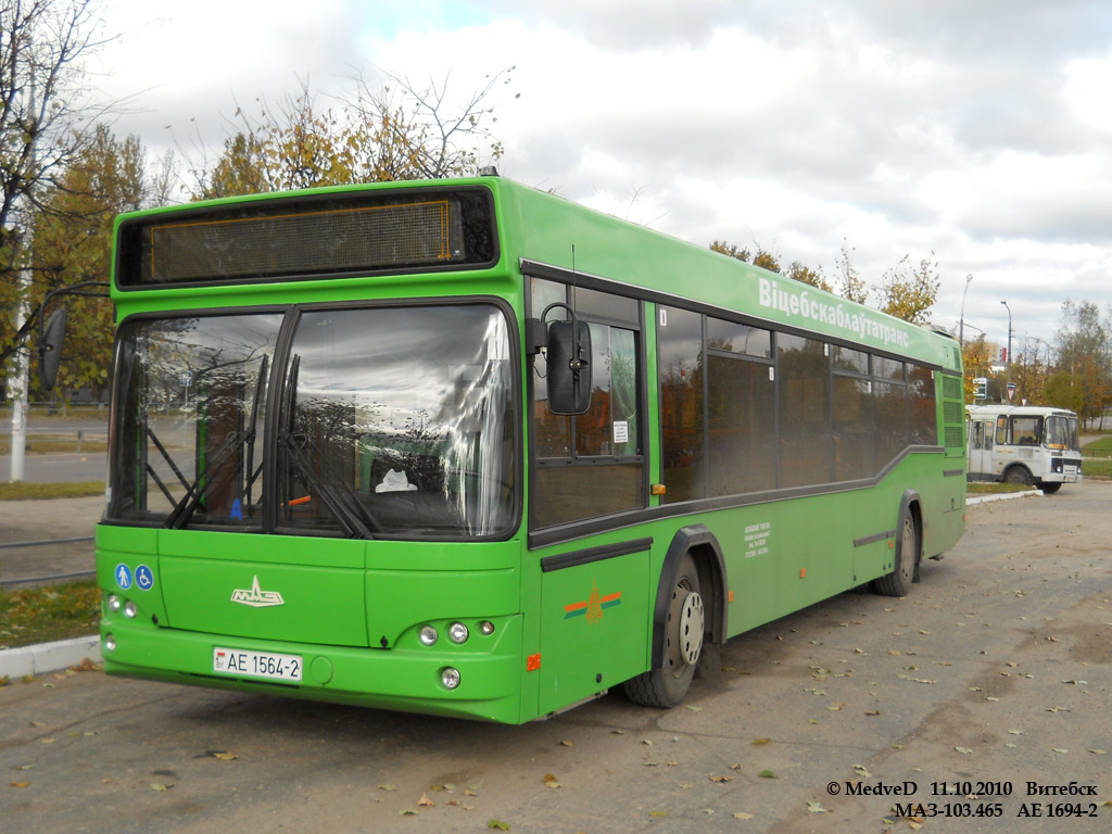 Vitebsk region, MAZ-103.465 Nr. 021873