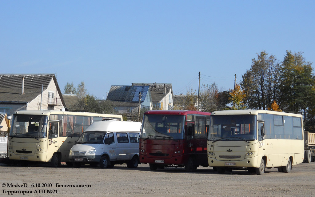 Vityebszk és környéke, GAZ-322133 (OOO "Samotlor-NN") sz.: 20620; Vityebszk és környéke, MAZ-256.200 sz.: 20613; Vityebszk és környéke — Miscellaneous photos