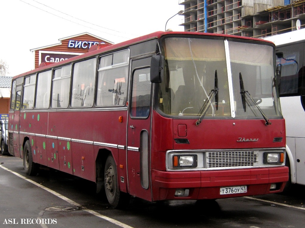 Leningrad Gebiet, Ikarus 250.59 Nr. Т 376 ОУ 47