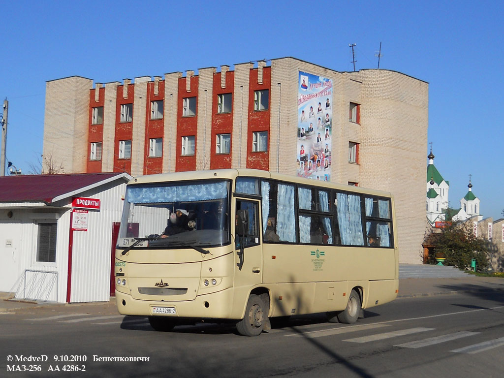 Витебская область, МАЗ-256.200 № 100575