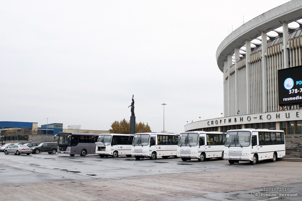 Санкт-Петербург — Новые автобусы