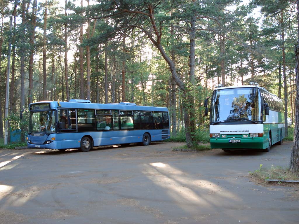 Эстония, Scania OmniLink I № 272 MLS; Эстония, Carrus Star 501 № 2967; Эстония — Saaremaa — Автобусные станции, конечные остановки, площадки, парки, разное