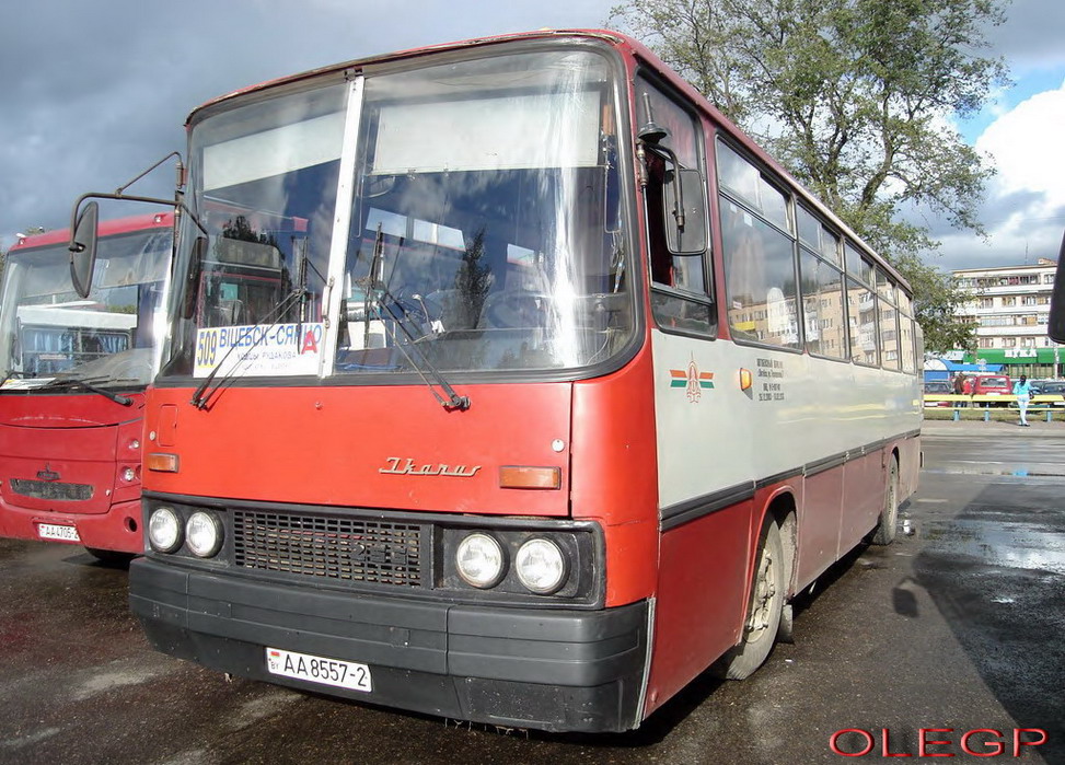 Vitebsk region, Ikarus 256 № АА 8557-2