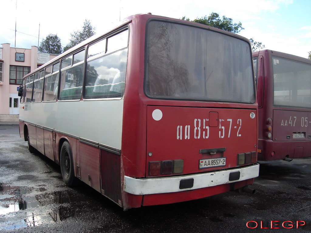 Vitebsk region, Ikarus 256 № АА 8557-2