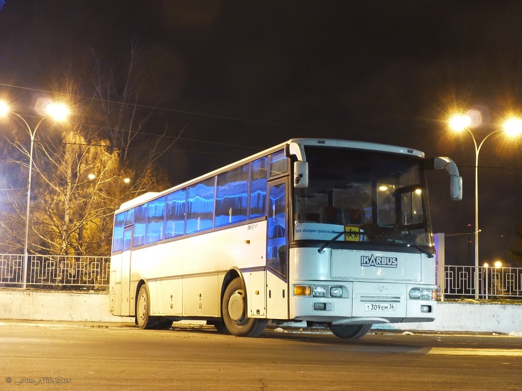 Воронежская область, Ikarbus IK-301 № Т 309 ЕМ 36