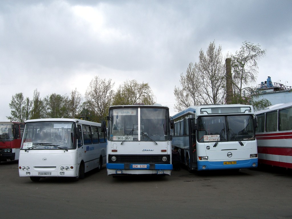 Гомельская область, Ikarus 280.03 № 034983; Гомельская область — Разные фотографии