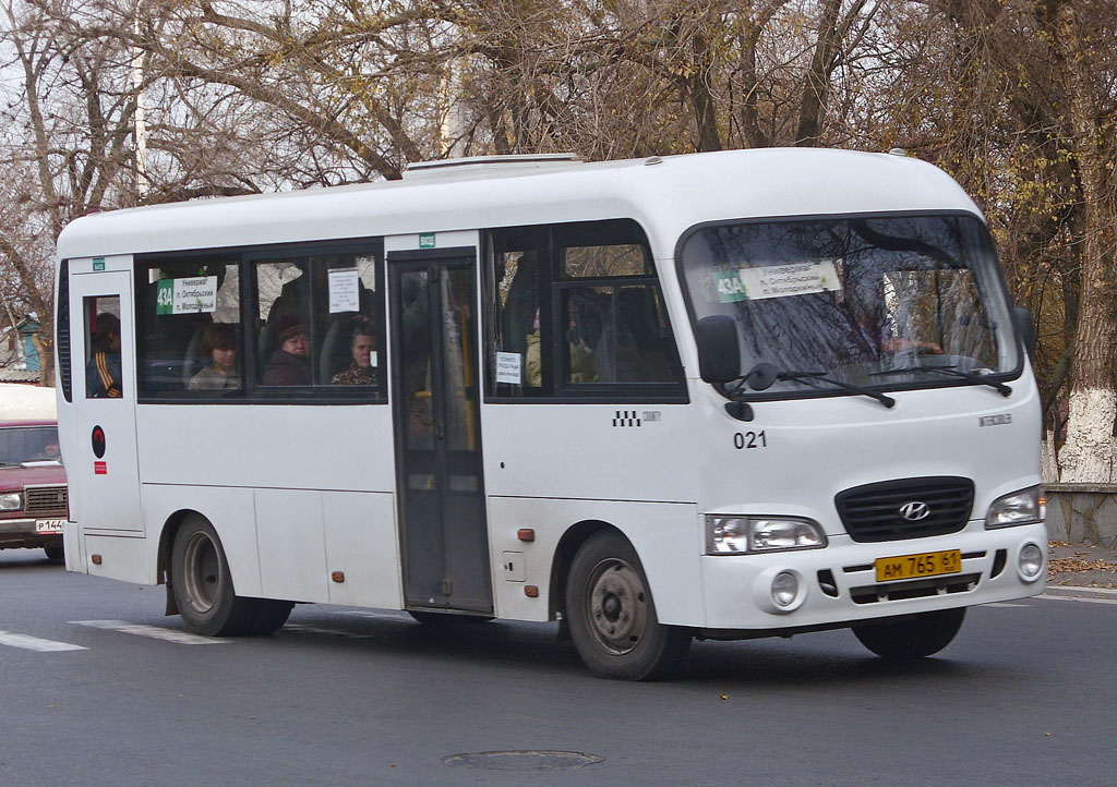 Ростовская область, Hyundai County LWB C11 (ТагАЗ) № 021