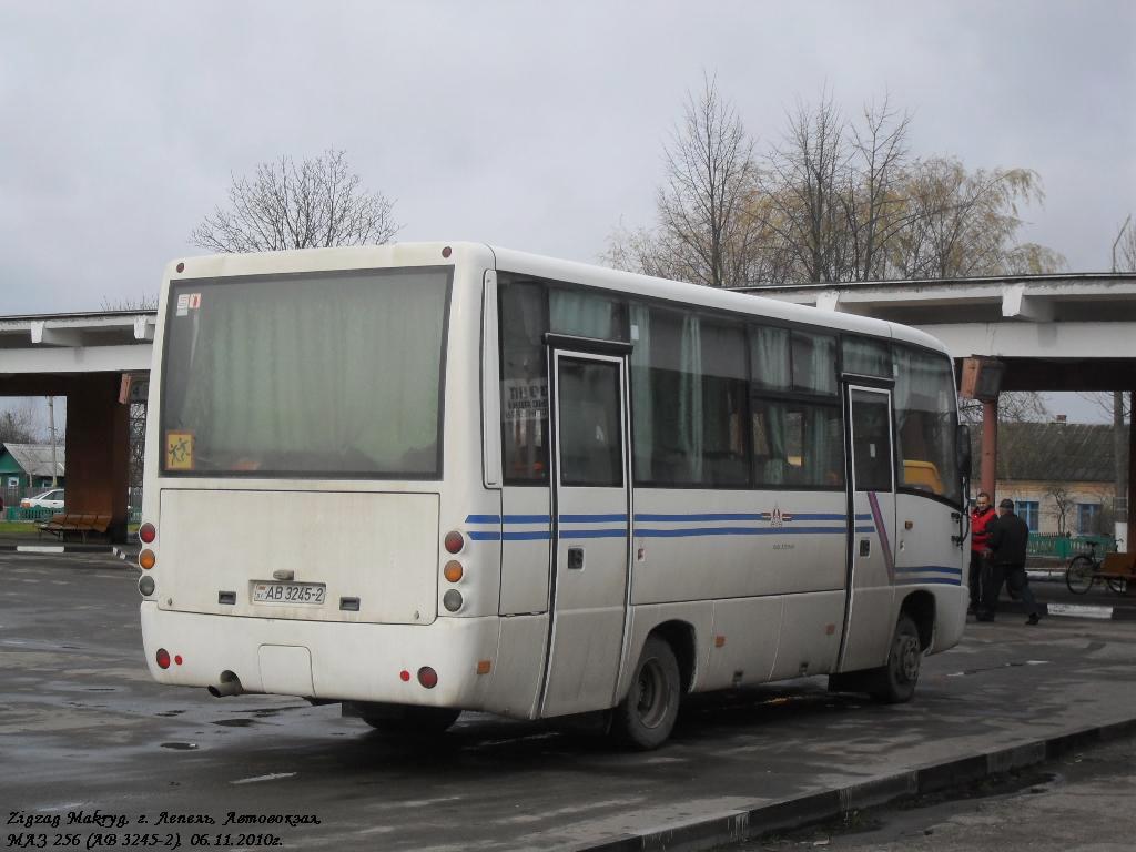 Витебская область, МАЗ-256.270 № 02053