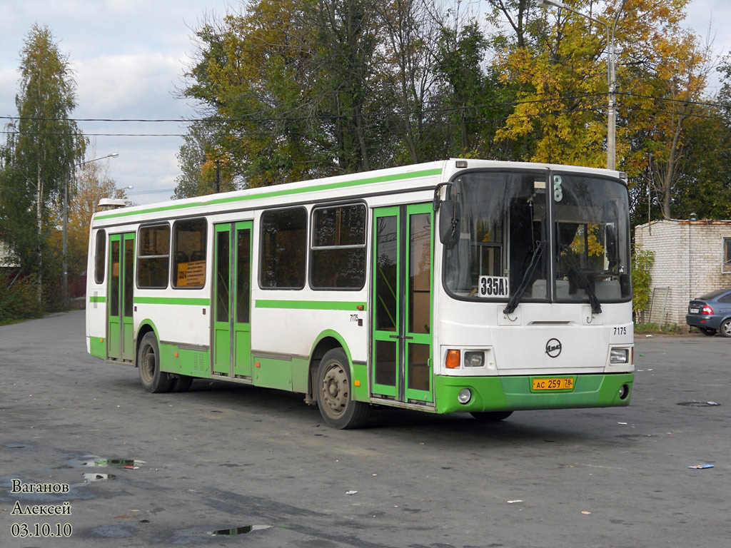 Санкт-Петербург, ЛиАЗ-5256.26 № 7175