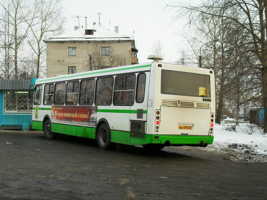 Архангельская область, ЛиАЗ-5256.36 № 204