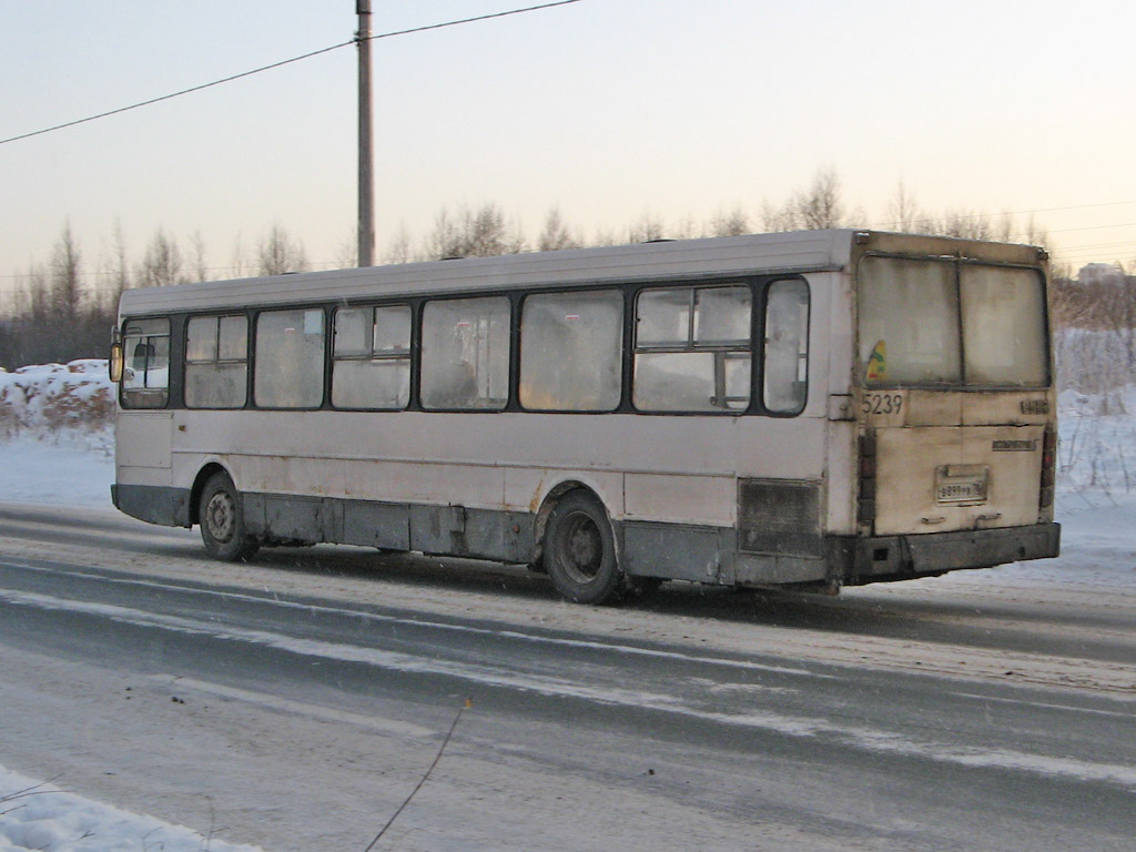 Санкт-Петербург, ЛиАЗ-5256.00 № 5239