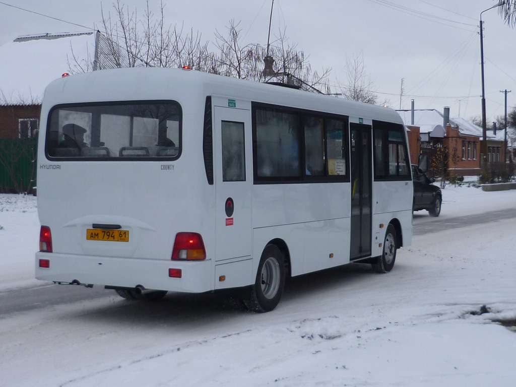 Ростовская область, Hyundai County LWB C09 (ТагАЗ) № 58