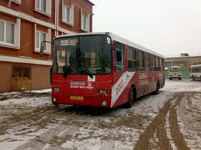 Нижегородская область, ЛиАЗ-5256.26 № 60037