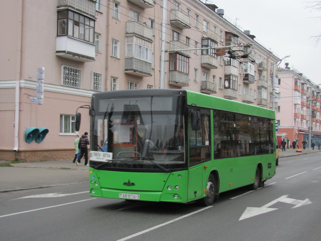 Гомельская область, МАЗ-206.067 № 036391