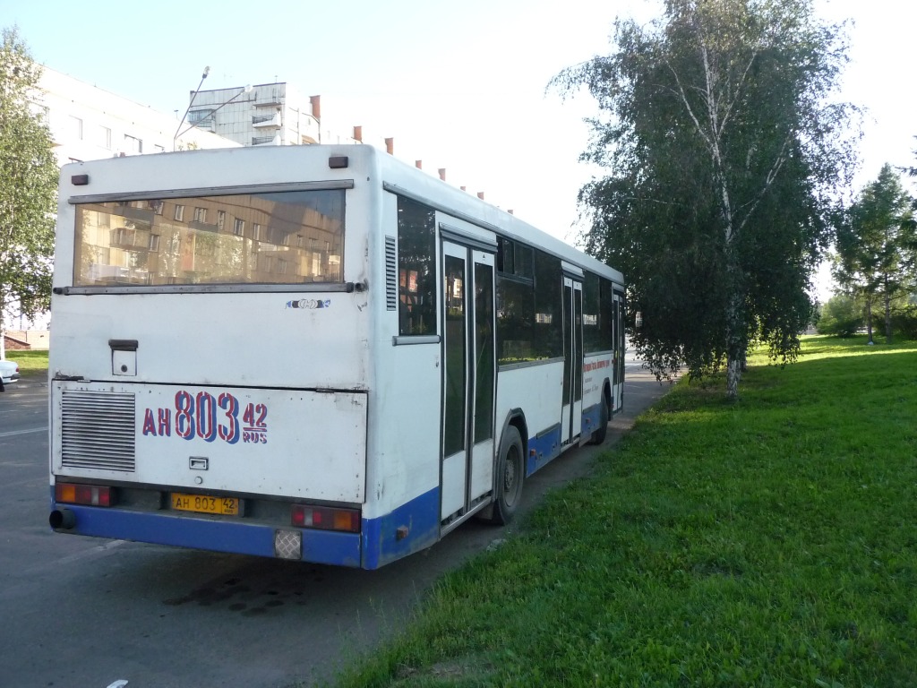 Kemerovo region - Kuzbass, NefAZ-5299 # 176