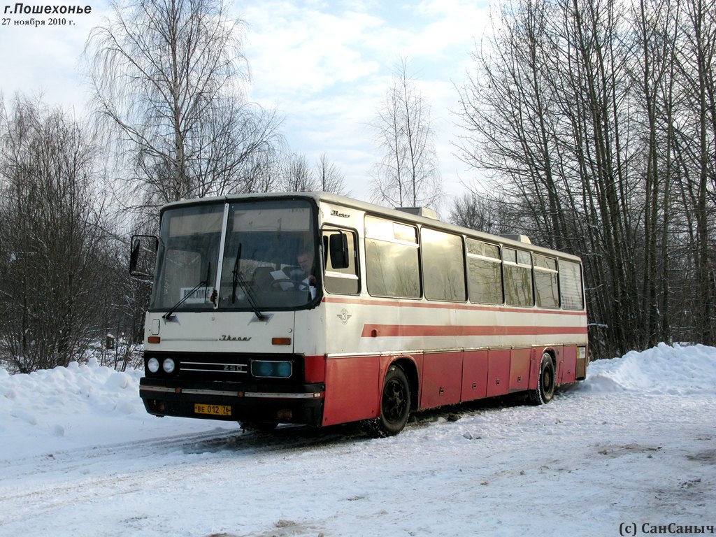 Ярославская область, Ikarus 250.95 № 243