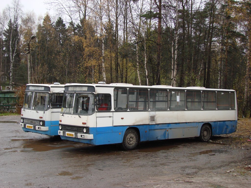 Ленинградская область, Ikarus 263.10 № АЕ 797 47