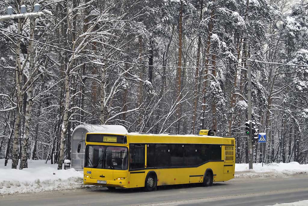 Пермский край, МАЗ-103.476 № Т 287 ТР 59